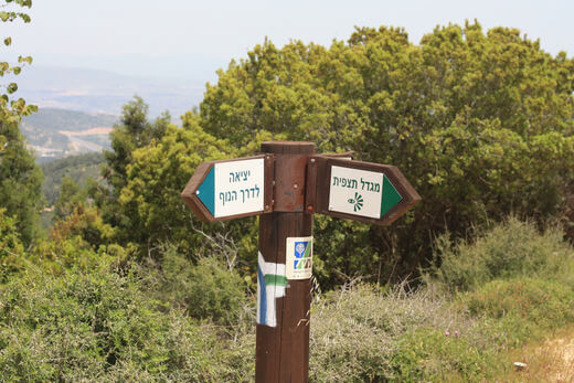 מגדל תצפית מגדל תצפית